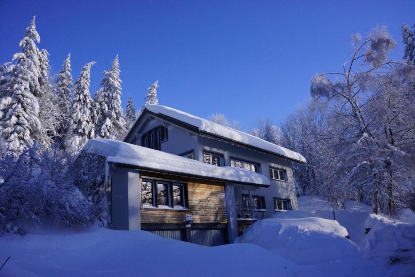 Villa Schwarzwaldhimmel Feldberg  Exterior foto
