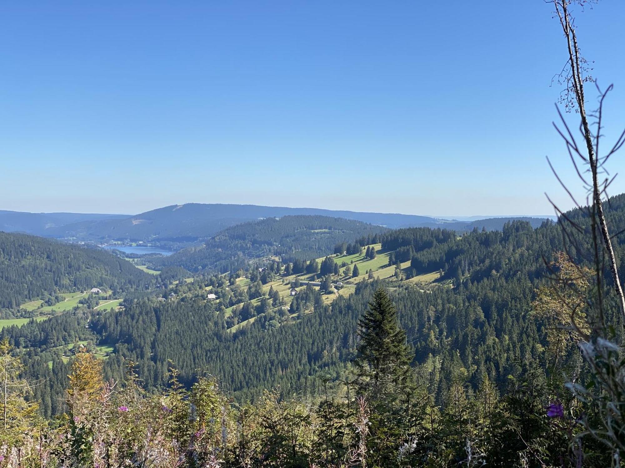 Villa Schwarzwaldhimmel Feldberg  Exterior foto