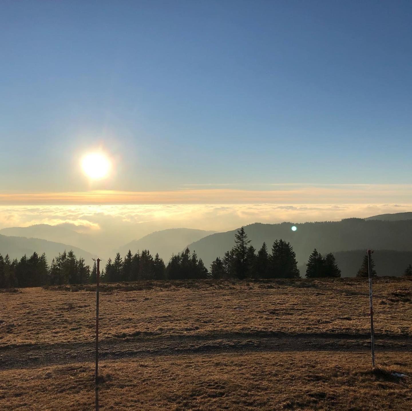 Villa Schwarzwaldhimmel Feldberg  Zimmer foto